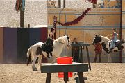 IMG_1571 