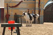 IMG_1573 
