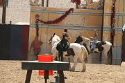 IMG_1575 