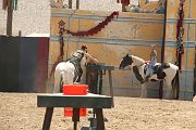 IMG_1576 