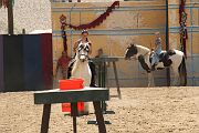 IMG_1580 