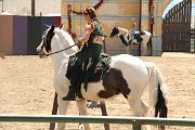 IMG_1584 