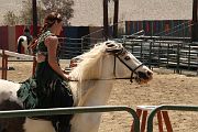 IMG_1590 