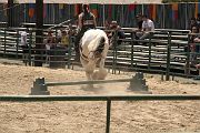 IMG_1596 