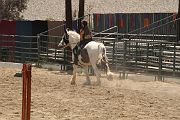 IMG_1597 