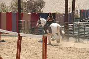 IMG_1598 
