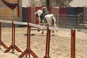 IMG_1599 