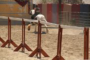 IMG_1600 