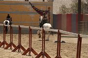 IMG_1601 