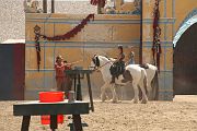 IMG_1604 
