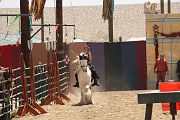 IMG_1608 