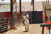 IMG_1611 