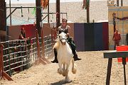 IMG_1613 