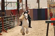 IMG_1614 