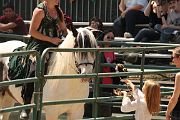 IMG_1629 