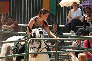 IMG_1630 
