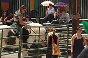 IMG_1640 