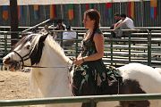 IMG_1646 
