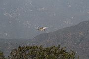 IMG_1725 