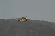 IMG_2493 