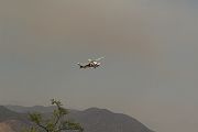 IMG_2494 