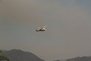 IMG_2495 