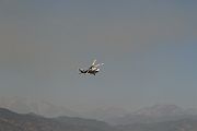 IMG_2498 