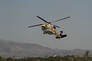 IMG_2504 