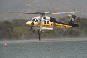 IMG_2511 