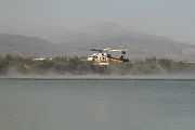 IMG_2535 