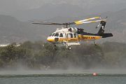 IMG_2538 