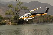 IMG_2546 