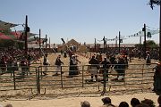 IMG_1750 