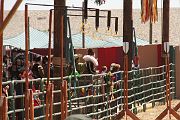 IMG_1797 