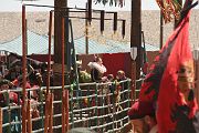 IMG_1798 