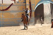 IMG_1803 