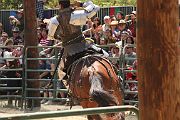 IMG_1809 