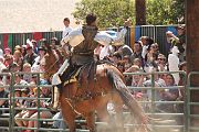 IMG_1810 