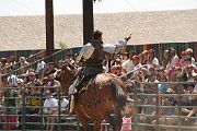 IMG_1811 