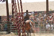 IMG_1812 