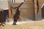 IMG_1817 