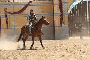 IMG_1818 