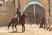 IMG_1819 