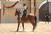 IMG_1832 