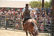 IMG_1842 