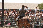 IMG_1843 