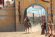 IMG_1861 