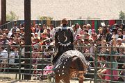 IMG_1882 