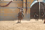 IMG_1885 