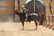 IMG_1901 